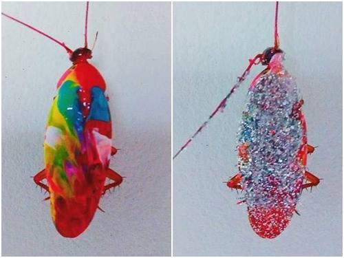 Choáng váng với bộ sưu tập gián muôn sắc màu của 'thánh rảnh rỗi'