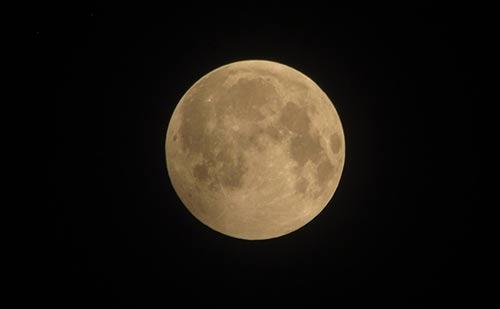 Phát hiện vật thể lạ trong ảnh 'gấu ăn trăng' ở Hà Nội-3