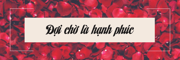 Đêm tân hôn và những chuyện 'cười ra nước mắt', chẳng như mong đợi của hội chị em-6