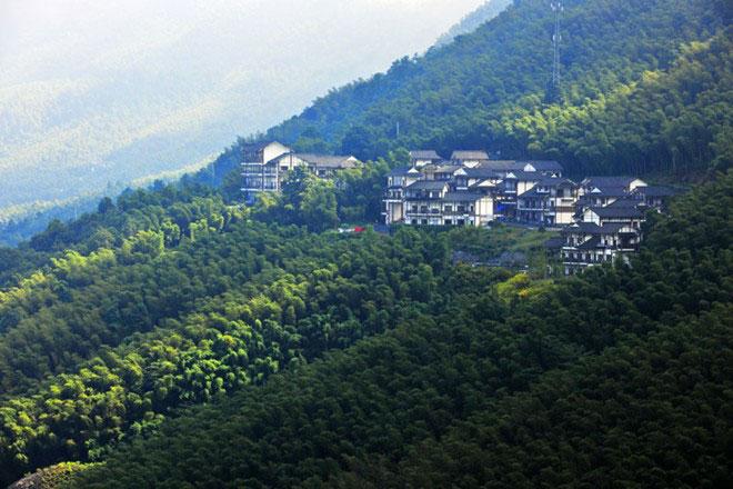 Đột nhập Rừng Trà Biển Trúc đẹp ngoạn mục trong 'Thập diện mai phục'-10