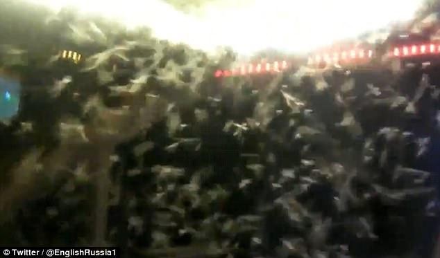 'Nổi da gà' với hình ảnh hàng triệu con muỗi bâu kín trong ô tô-4