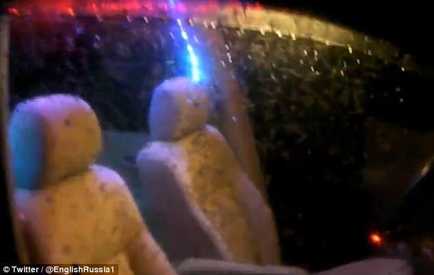 'Nổi da gà' với hình ảnh hàng triệu con muỗi bâu kín trong ô tô-2