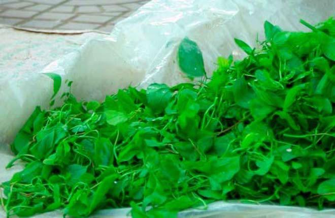 Bạn sẽ tiếc hùi hụi nếu không thử 7 đặc sản này khi đến Điện Biên-5