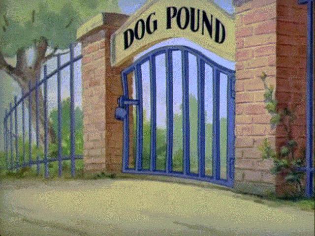 Truyện cười: 'Thánh nhọ' đi nịnh Sếp-1