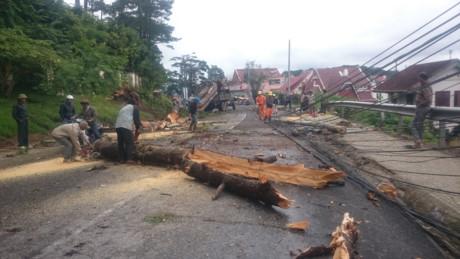 Đang đi xe máy, 2 mẹ con bất ngờ bị cây đổ đè tử vong-1