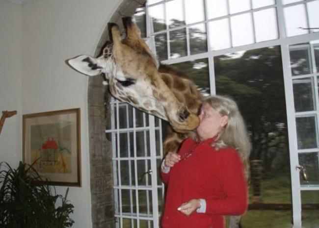 Chị em khóc thét khi bất ngờ bị... 'sàm sỡ'-4