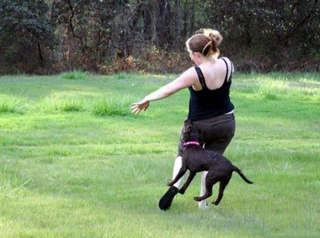 Chị em khóc thét khi bất ngờ bị... 'sàm sỡ'-5