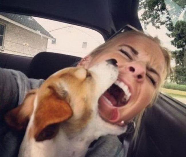 Chị em khóc thét khi bất ngờ bị... 'sàm sỡ'-9