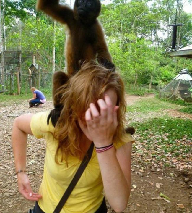 Chị em khóc thét khi bất ngờ bị... 'sàm sỡ'-11