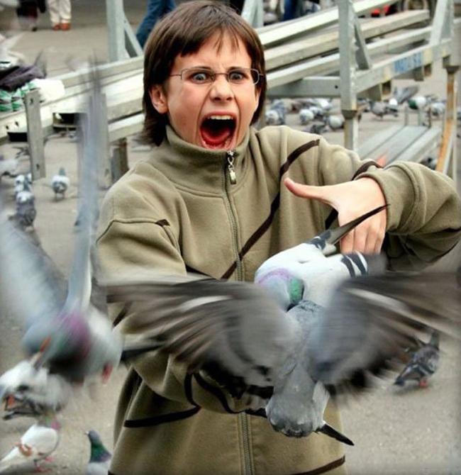 Chị em khóc thét khi bất ngờ bị... 'sàm sỡ'-13