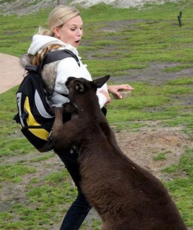 Chị em khóc thét khi bất ngờ bị... 'sàm sỡ'-14