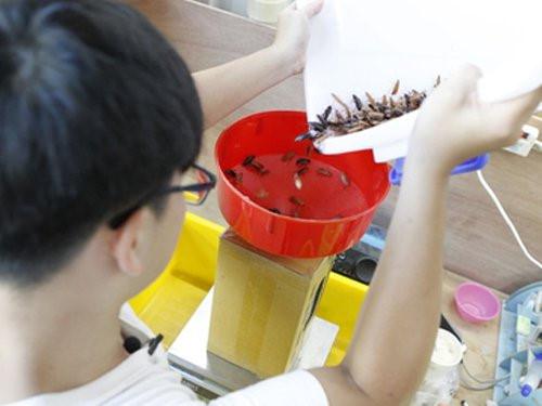 Kẹt trên cây chuối, chú chó bị dân mạng 'dìm hàng' không thương tiếc-11