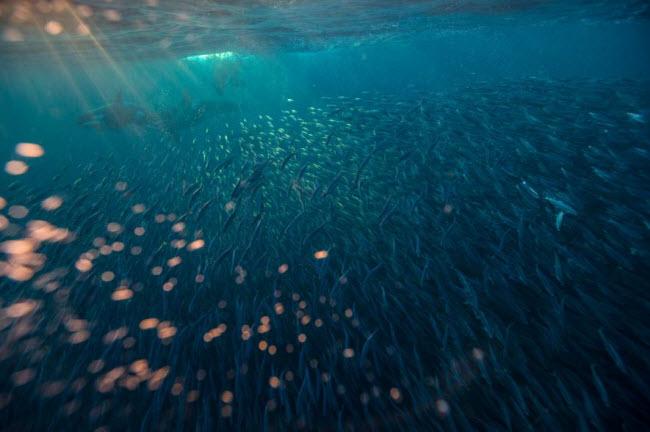 Ngắm phong cảnh thiên nhiên đẹp mê hồn khắp thế giới-4