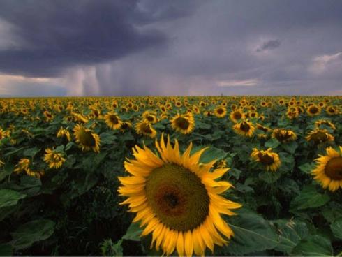 12 di sản thiên nhiên đẹp ngoạn mục nhưng ít người biết tới-14