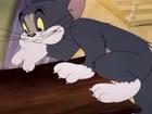 Tom và Jerry: Hợp tác chống lại... 'kẻ thù'