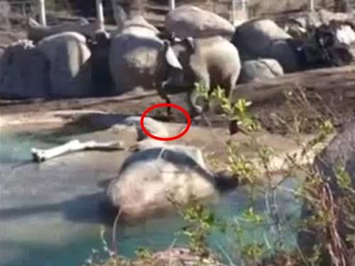 Những câu nói 'chưa bao giờ cũ' của thầy cô qua năm tháng-9