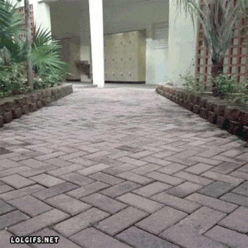 Ảnh động: Những kết cục bạn không thể ngờ đến-3