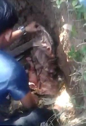 Giải cứu bé sơ sinh bị chôn sống khiến nhiều người rơi nước mắt-1