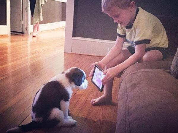 Clip hài: Khi Mr Bean đi siêu thị mua sắm-1