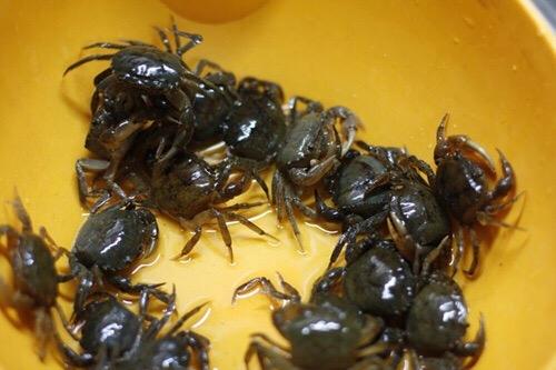 Hướng dẫn làm canh cua khoai sọ rau rút hấp dẫn ngày nắng nóng-1