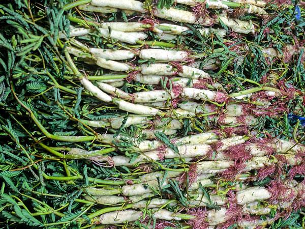 Hướng dẫn làm canh cua khoai sọ rau rút hấp dẫn ngày nắng nóng-4