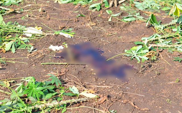 Vụ nữ sinh bị bắn chết: Chị gái không dám tin nghi phạm lại làm vậy với vợ sắp cưới-1