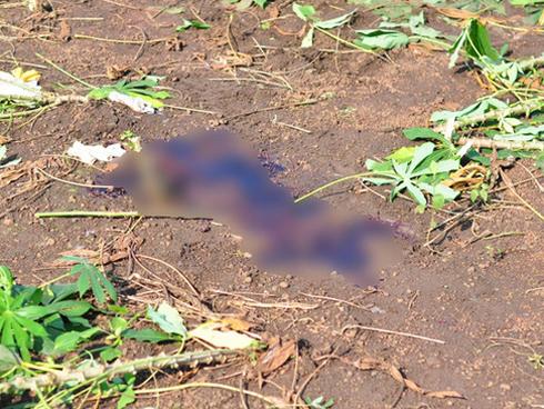 Vụ nữ sinh bị bắn chết: Chị gái không dám tin nghi phạm lại làm vậy với vợ sắp cưới