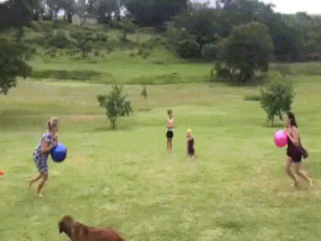 Tom và Jerry: Nối giáo cho giặc-1