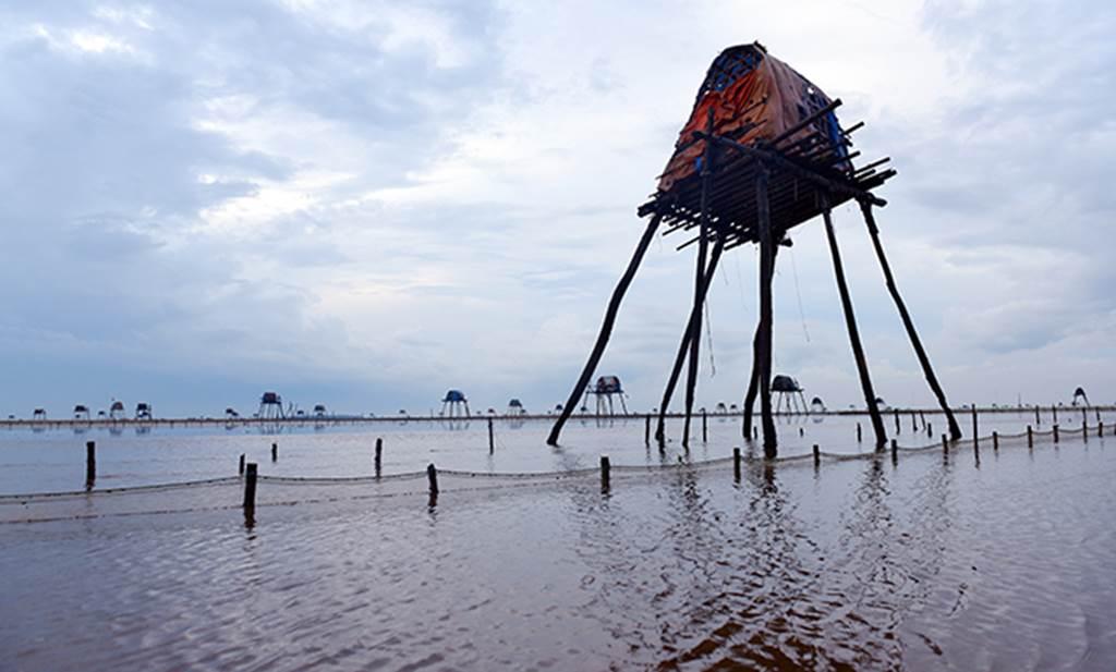 Về Đồng Châu xem cào ngao, ngắm hoàng hôn hoang hoải bên bờ biển hoang sơ-1