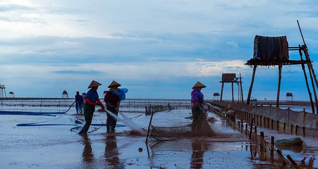 Về Đồng Châu xem cào ngao, ngắm hoàng hôn hoang hoải bên bờ biển hoang sơ-5