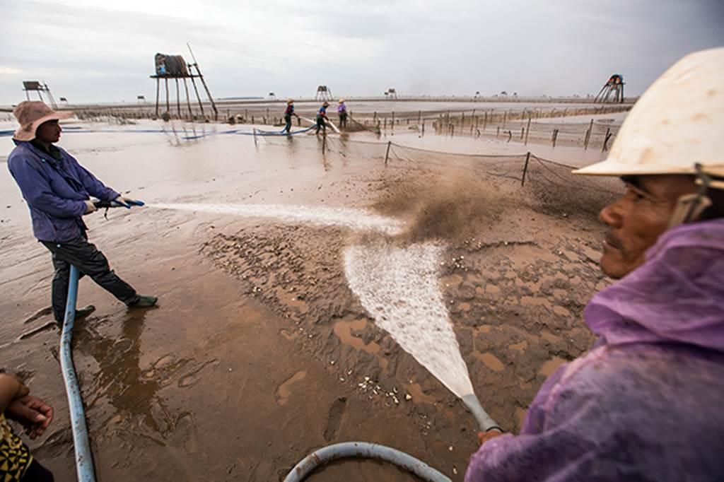 Về Đồng Châu xem cào ngao, ngắm hoàng hôn hoang hoải bên bờ biển hoang sơ-8