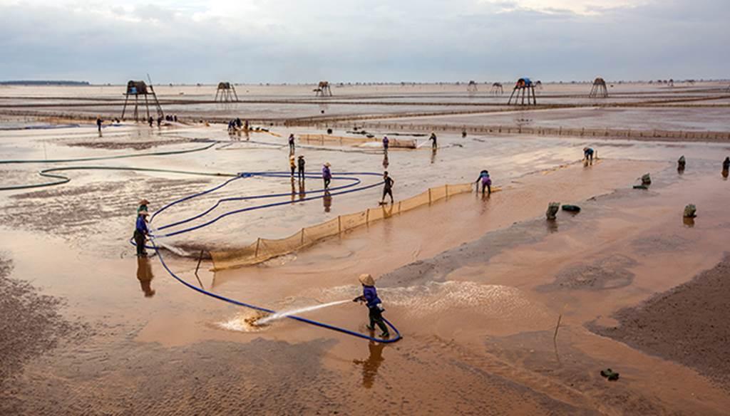 Về Đồng Châu xem cào ngao, ngắm hoàng hôn hoang hoải bên bờ biển hoang sơ-12