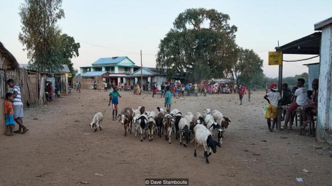 Kỳ quan rừng đá ít người có thể tới ở Madagascar-5