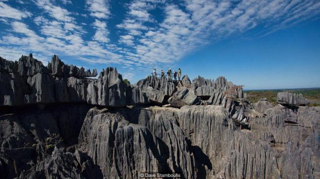 Kỳ quan rừng đá ít người có thể tới ở Madagascar-7