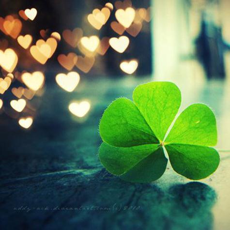 Nửa cuối năm 2017, 3 con giáp sau có cuộc sống may mắn trọn vẹn và hạnh phúc nhất-1