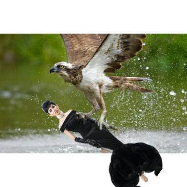 Hình ảnh Thùy Dương Next Top hoá thân thành Audrey Hepburn được chế thành loạt ảnh siêu buồn cười-4