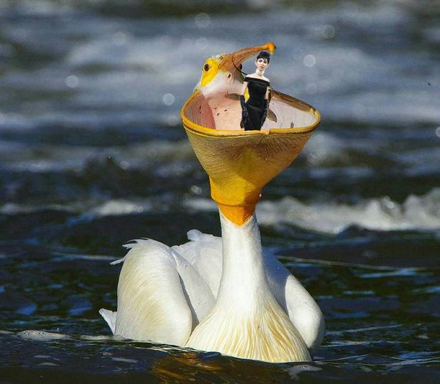 Hình ảnh Thùy Dương Next Top hoá thân thành Audrey Hepburn được chế thành loạt ảnh siêu buồn cười-5