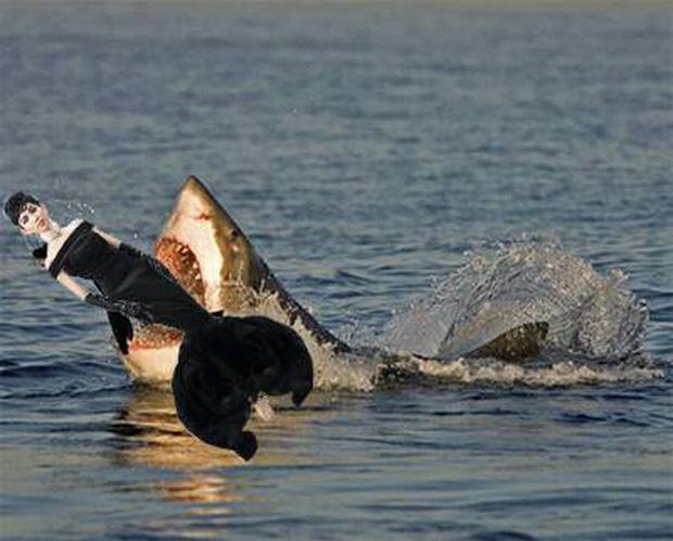 Hình ảnh Thùy Dương Next Top hoá thân thành Audrey Hepburn được chế thành loạt ảnh siêu buồn cười-6