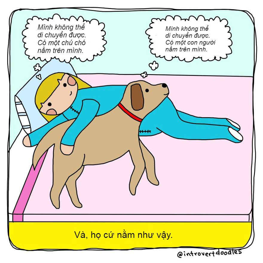 Những tình huống 'dở khóc dở cười' chỉ hội yêu chó mới hiểu-1