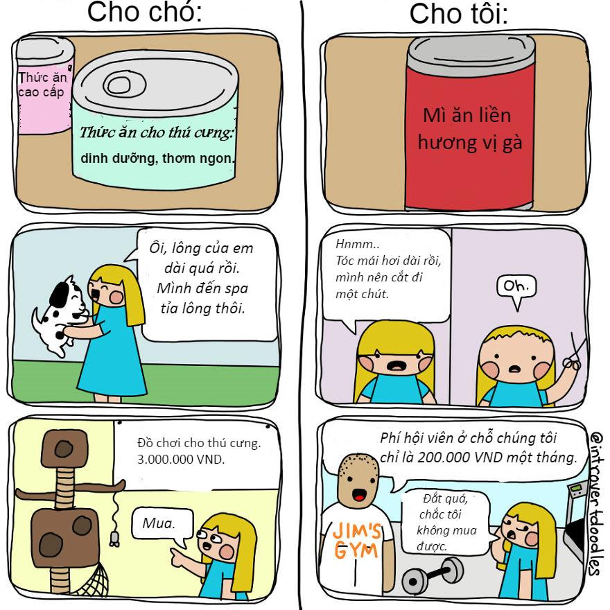 Những tình huống 'dở khóc dở cười' chỉ hội yêu chó mới hiểu-3