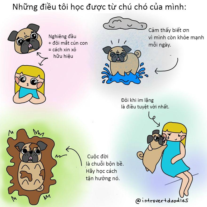 Những tình huống 'dở khóc dở cười' chỉ hội yêu chó mới hiểu-6