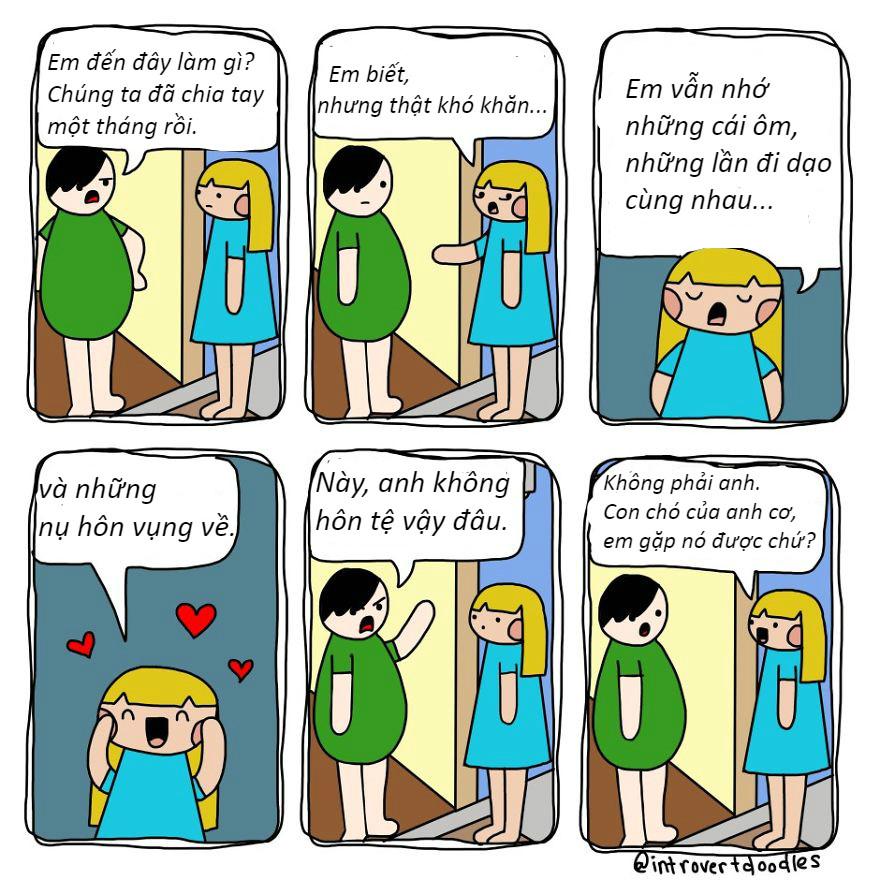 Những tình huống 'dở khóc dở cười' chỉ hội yêu chó mới hiểu-7