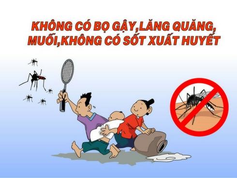 Những việc cần làm ngay để ngăn chặn sốt xuất huyết