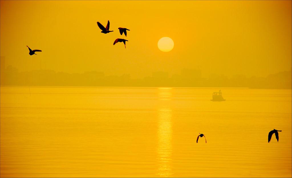 Trôi trên những mặt hồ êm ả trong 'Dấu ấn Việt Nam'-11
