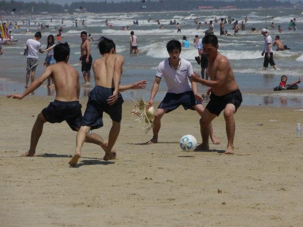 Khi chó cũng có thể kéo xe-1