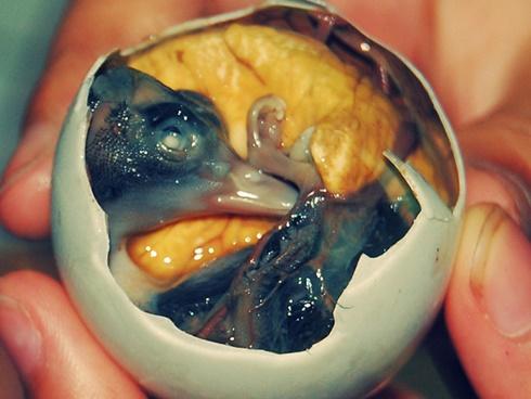 Cưỡng không nổi với 8 đặc sản nức tiếng Nam Định-9