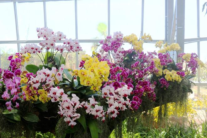 3 điểm ấn tượng của Đồi vạn hoa - Vinpearl Land Nha Trang-2