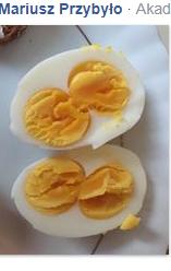 Tưởng trúng số độc đắc vì mua được những loại thực phẩm hơn cả sức tưởng tượng-13