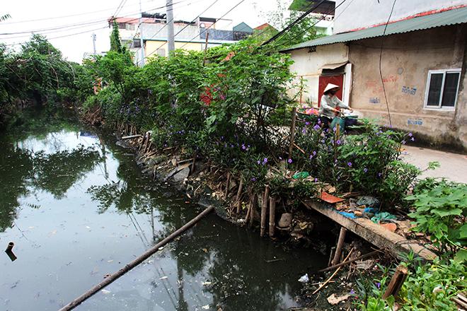 Kinh hãi những 'bể phốt lộ thiên' giữa Thủ đô mùa sốt xuất huyết-1