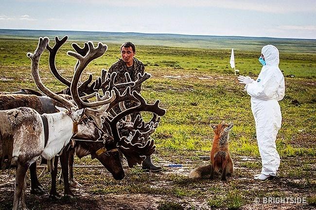 Chỉ các thiên tài mới nhận ra điểm bất thường trong loạt ảnh này thôi-1